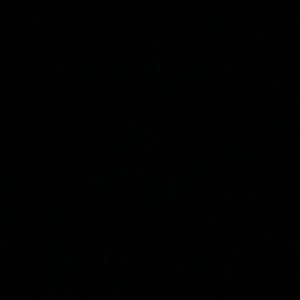 Meet your Posher, Amaris